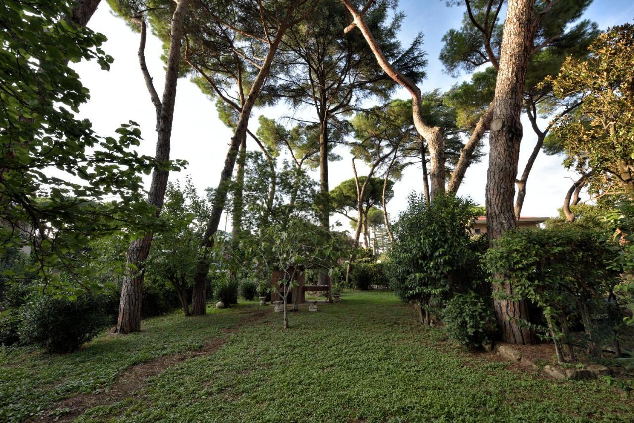 Comfort Rooms Villa Gaia Tor Vergata Rome Buitenkant foto